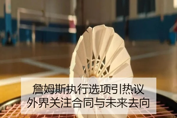 詹姆斯执行选项引热议 外界关注合同与未来去向